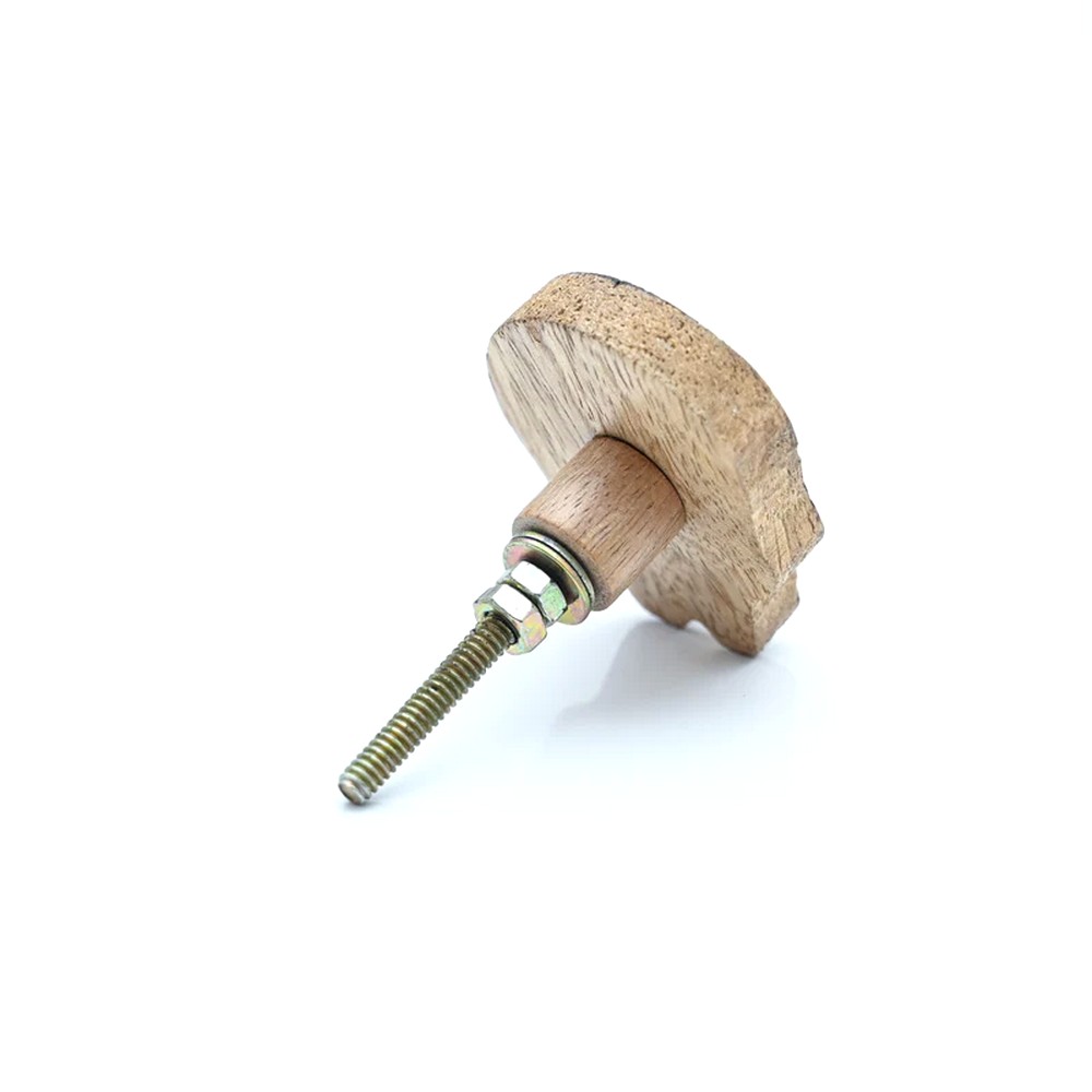 Kids Handmade Mango Wood Lion Knob